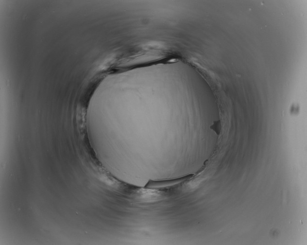 X0000094060528200711091131