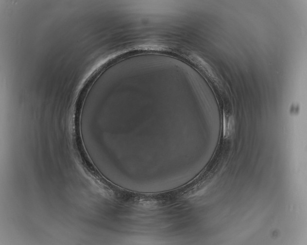 X0000094060531200711091130