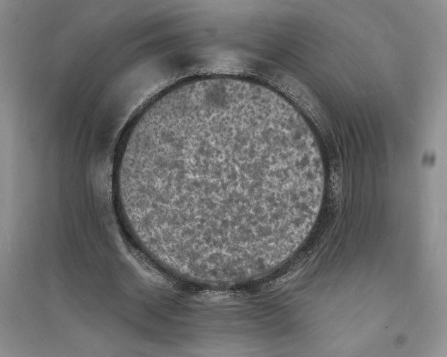 X0000094060534200711091130