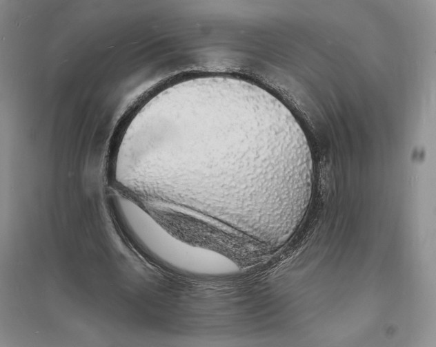 X0000094060536200711091130
