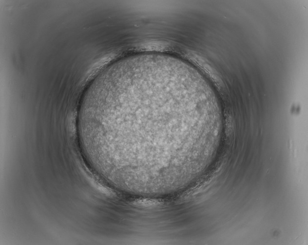 X0000094060537200711091130