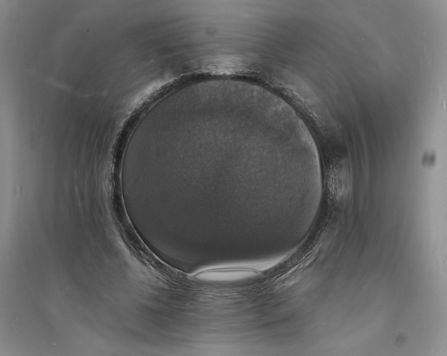 X0000094060540200711091130