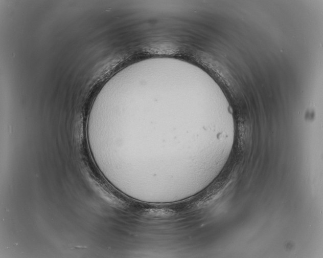 X0000094060541200711091130