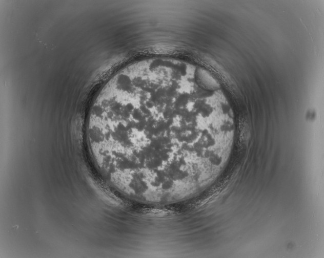 X0000094060542200711091130