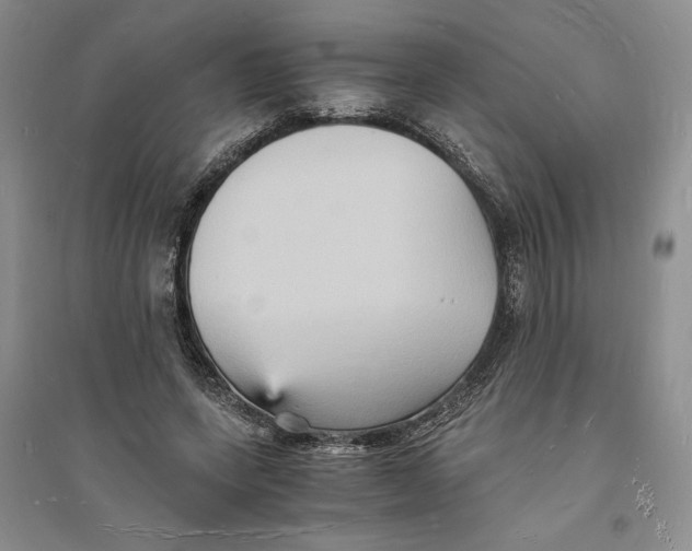 X0000094060543200711091130