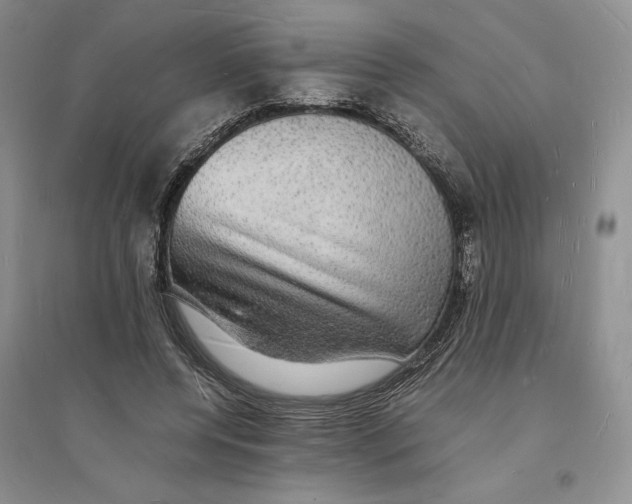 X0000094060544200711091130