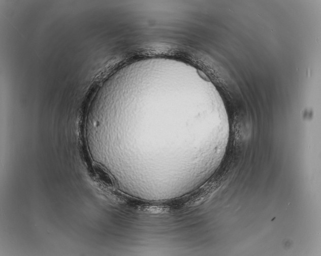 X0000094060546200711091130