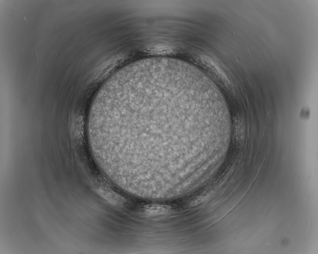 X0000094060549200711091130