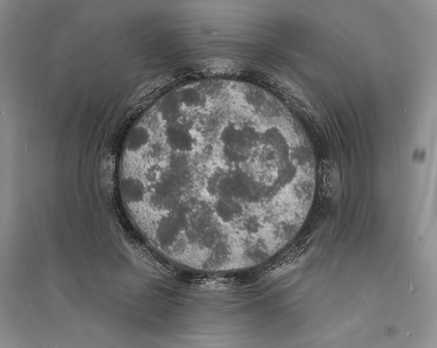 X0000094060550200711091130