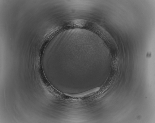 X0000094060552200711091130