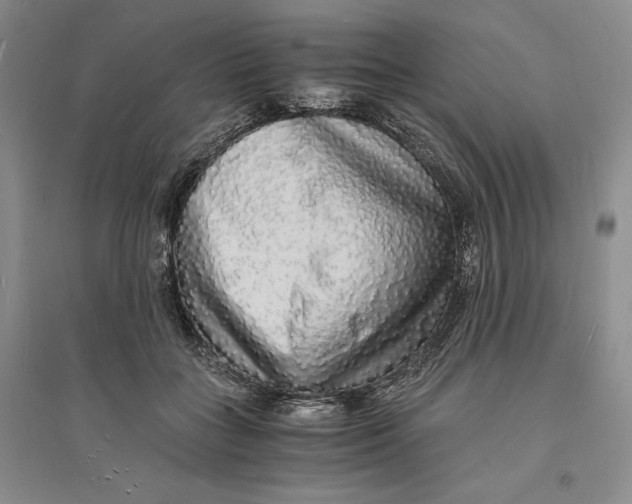 X0000094060555200711091130