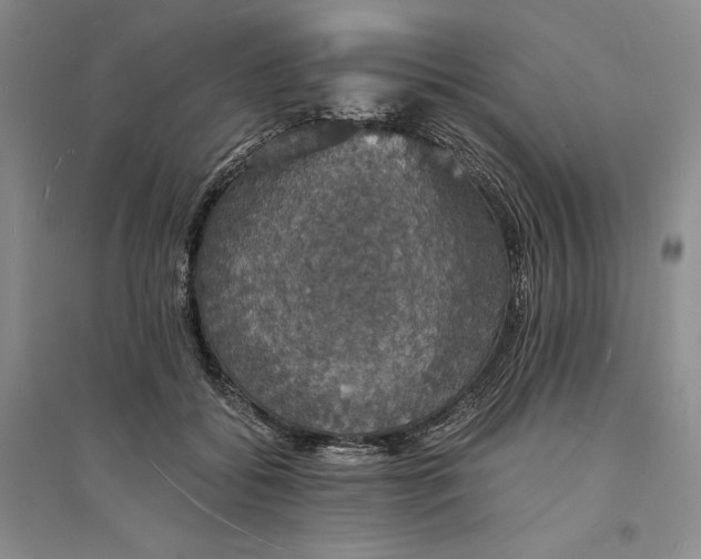 X0000094060556200711091130