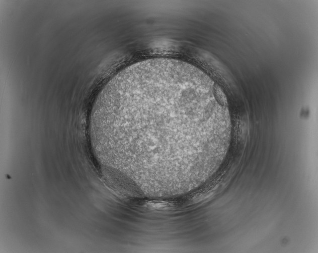 X0000094060557200711091130