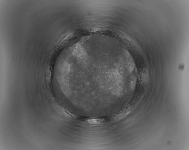 X0000094060558200711091130