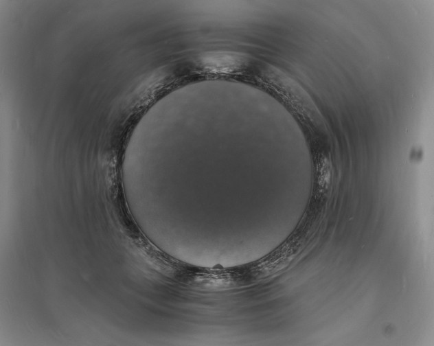 X0000094060559200711091131