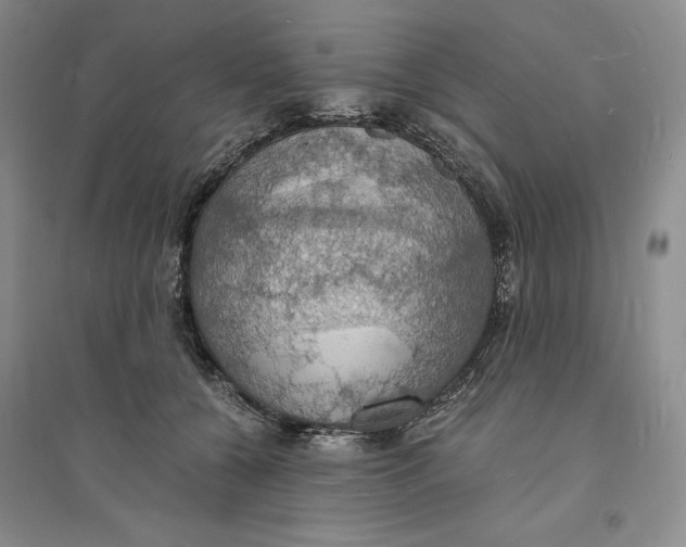 X0000094060560200711091131
