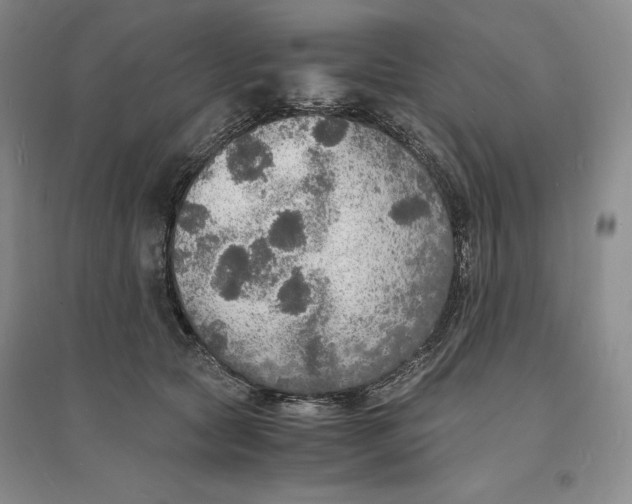 X0000094060561200711091131