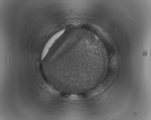 X0000094060562200711091131