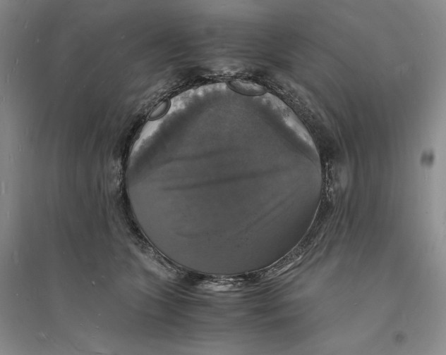 X0000094060563200711091131
