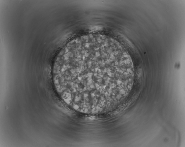 X0000094060565200711091131