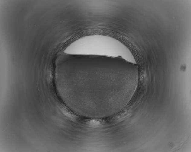 X0000094060566200711091131