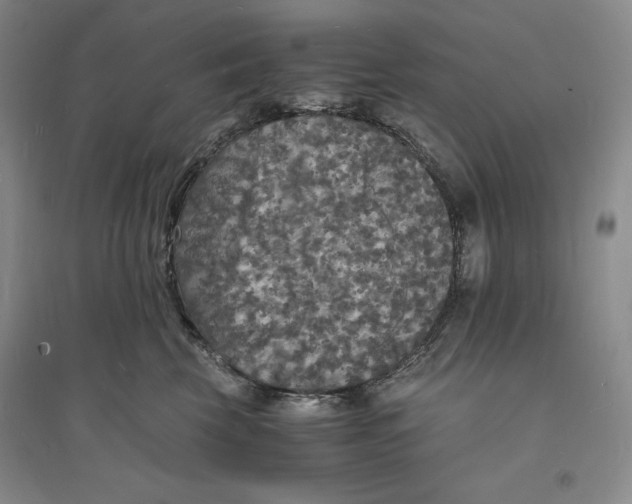 X0000094060569200711091131
