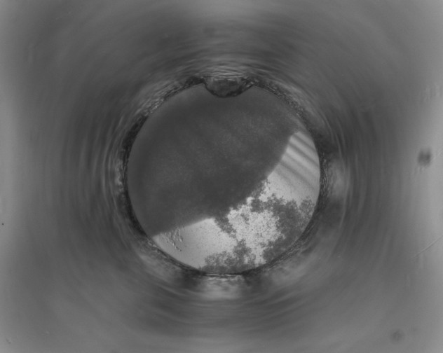 X0000094060571200711091131