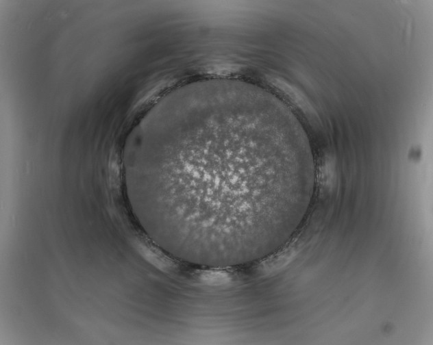 X0000094060572200711091131