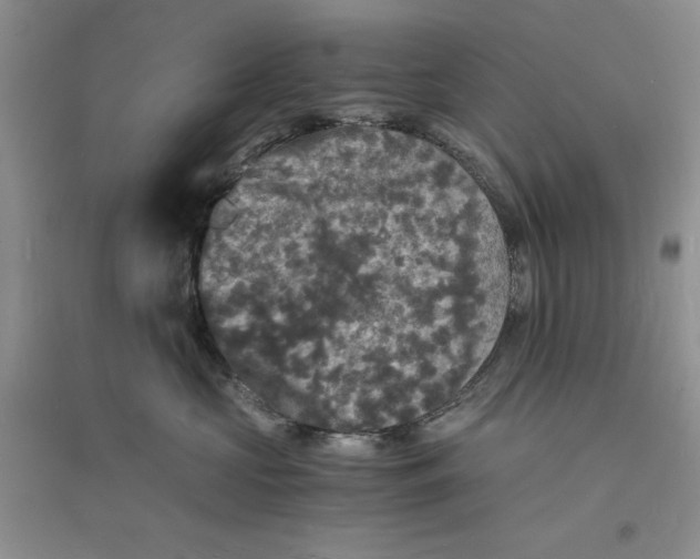 X0000094060573200711091131