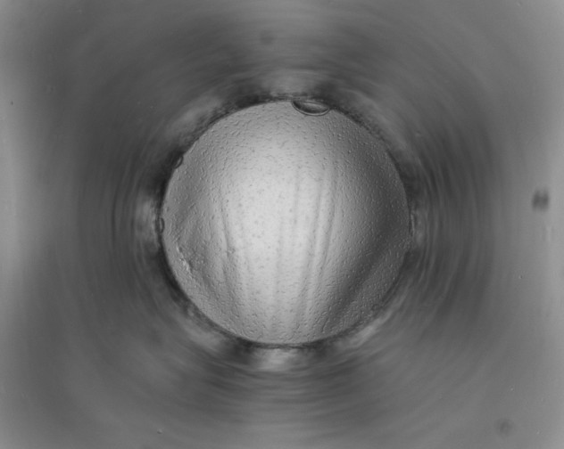 X0000094060575200711091131