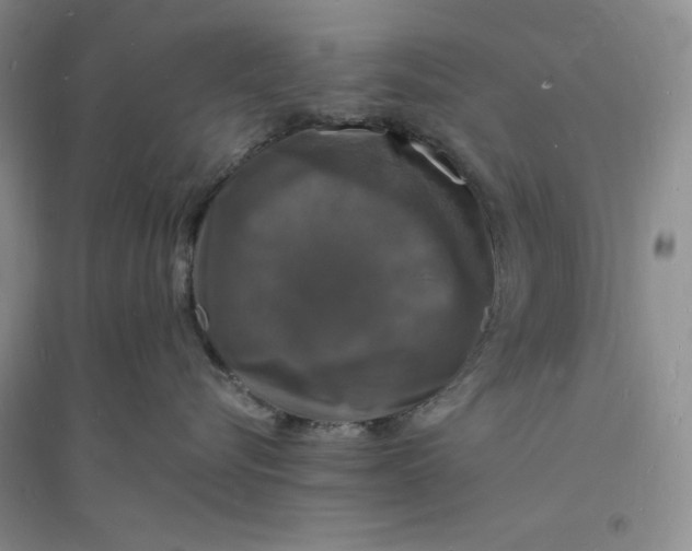 X0000094060576200711091131