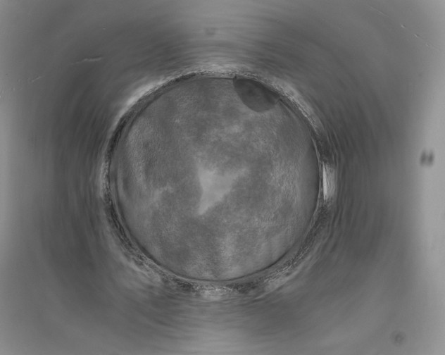 X0000094060579200711091130