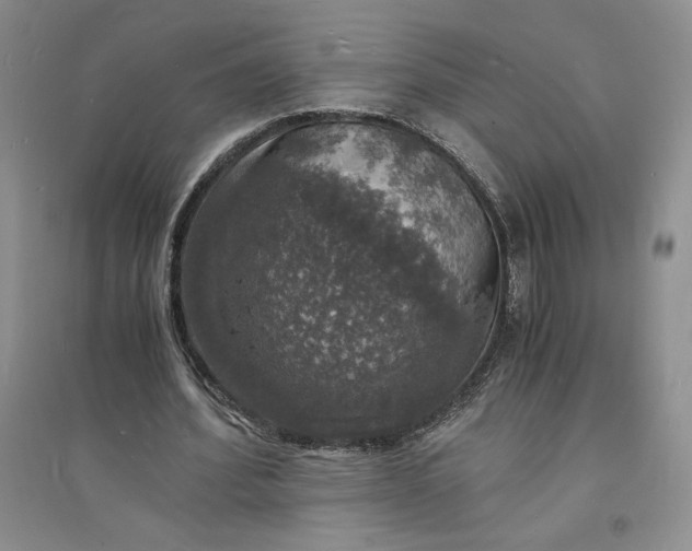 X0000094060580200711091130