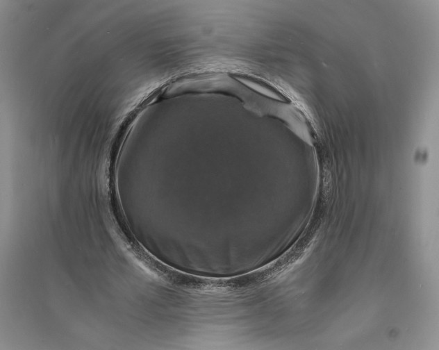 X0000094060581200711091130