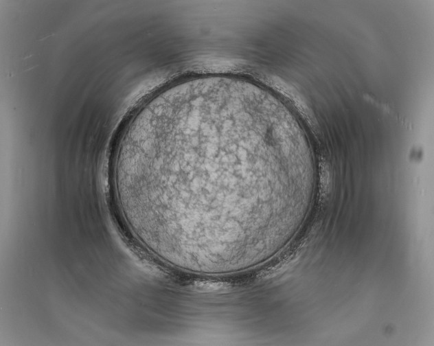 X0000094060582200711091130