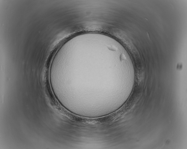 X0000094060583200711091130