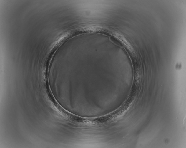 X0000094060585200711091130