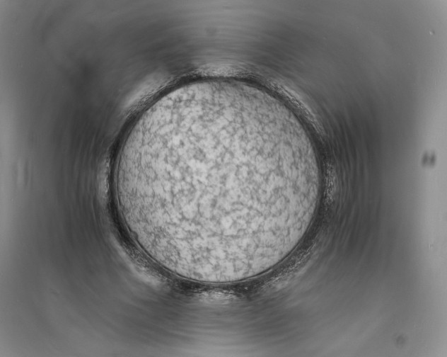 X0000094060586200711091130