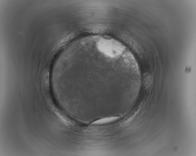 X0000094060589200711091130