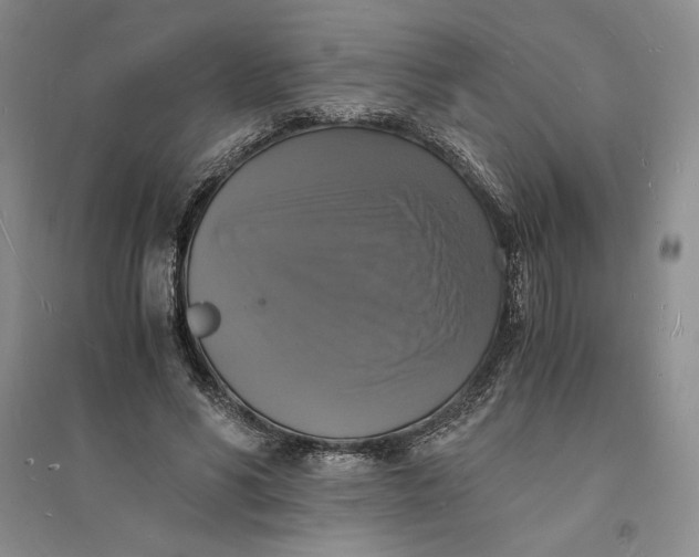 X0000094060590200711091130
