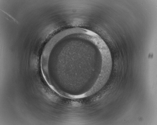 X0000094060592200711091130