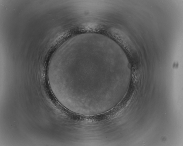 X0000094060593200711091130