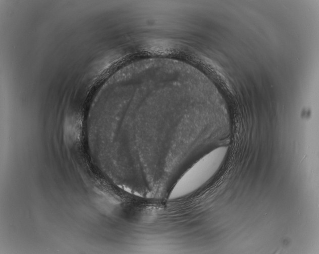 X0000094060596200711091130