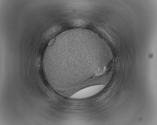 X0000094060597200711091130