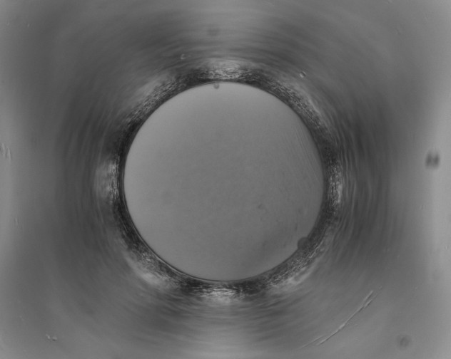 X0000094060598200711091130