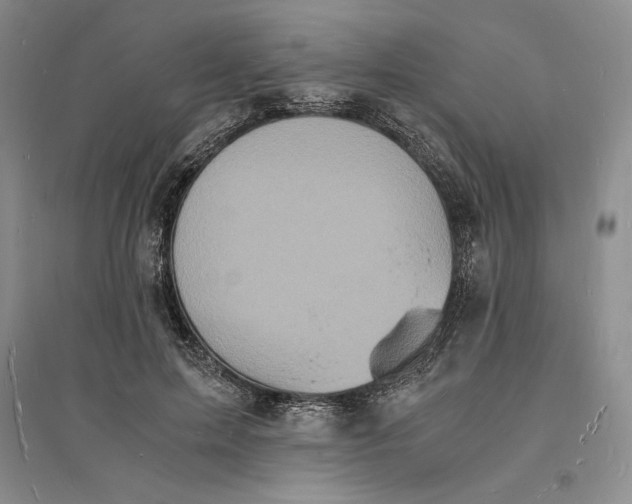 X0000094060599200711091130