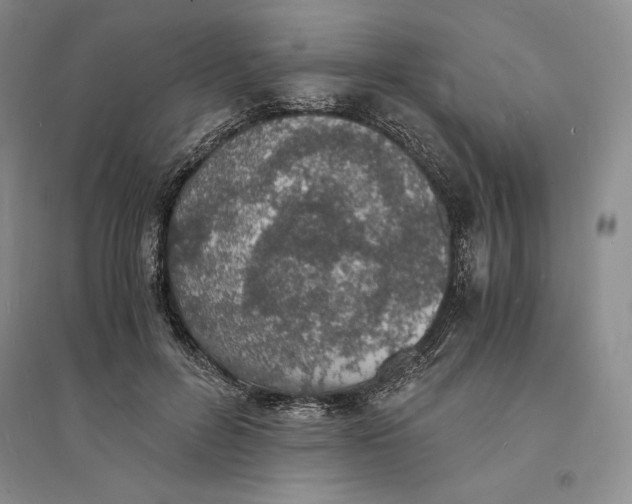 X0000094060600200711091130