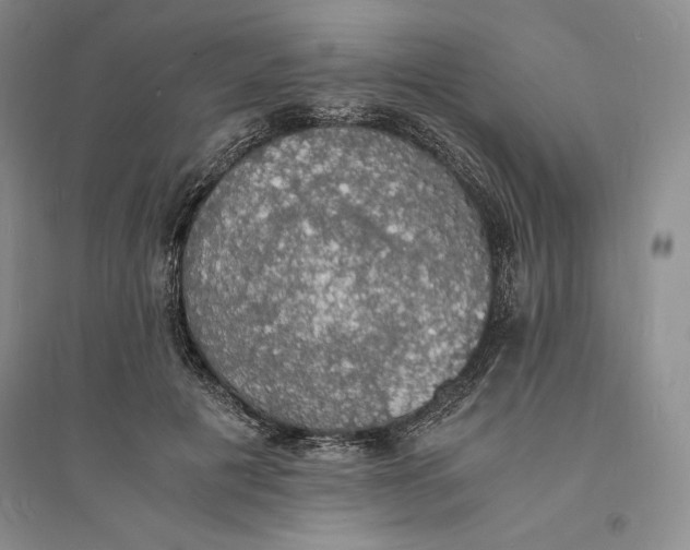 X0000094060601200711091130