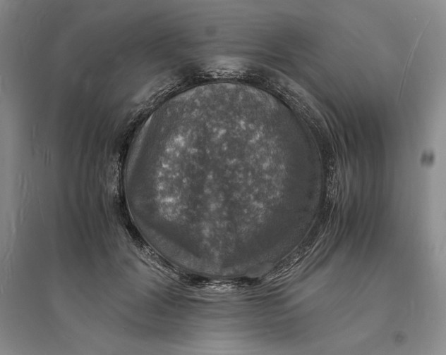X0000094060604200711091130