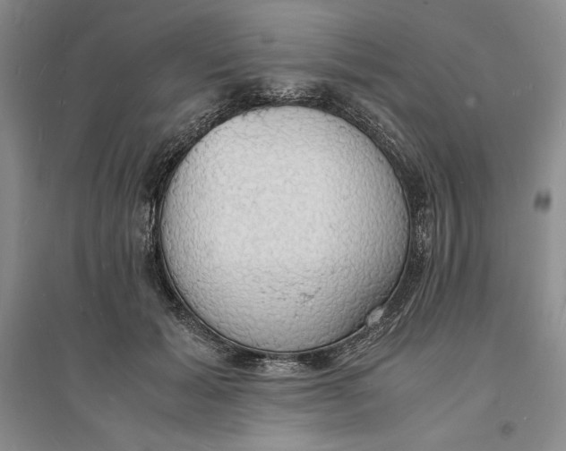 X0000094060605200711091130